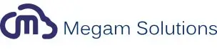 megamsolutions logo